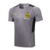 BVB Borussia Dortmund Training Pelipaita Sarja 2022-23 Vaaleanharmaa